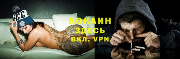 твердый Абинск