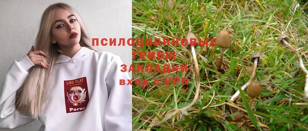 твердый Абинск